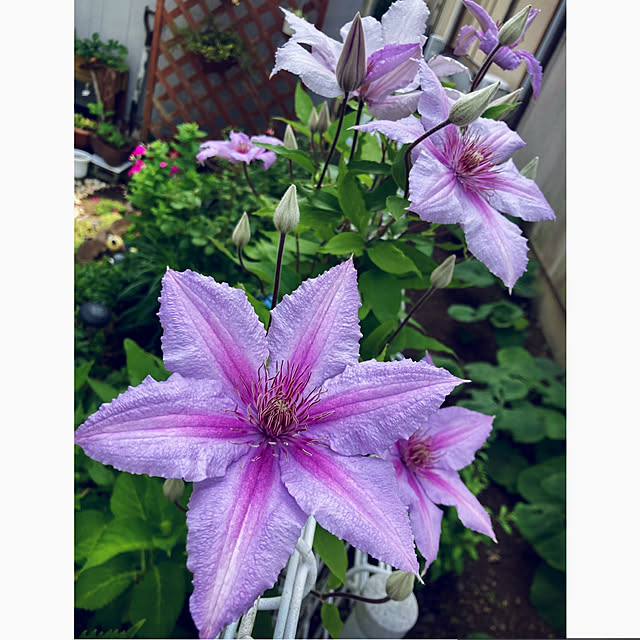 CoCo0617さんの実例写真