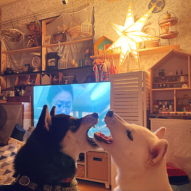 mo-nosukeさんの実例写真