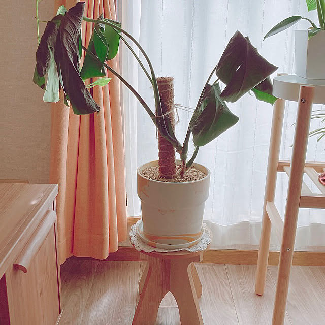 yuyuさんの部屋
