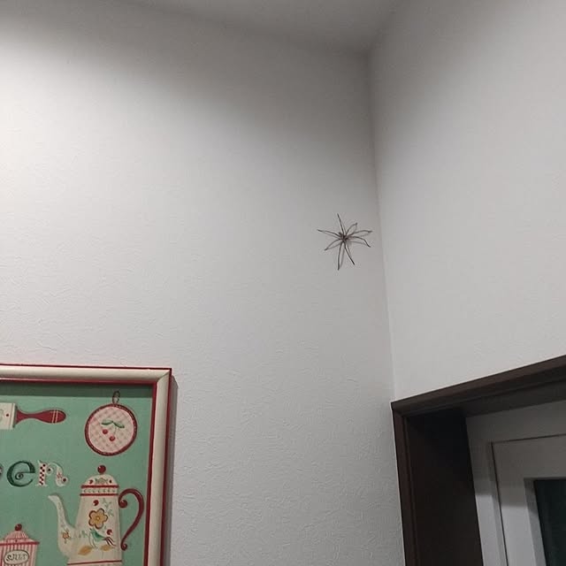 Rさんの部屋