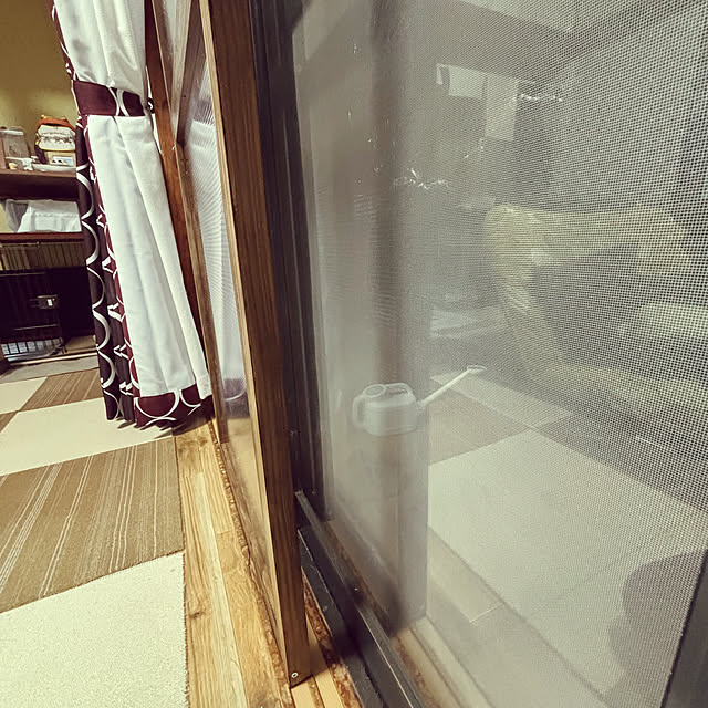 ajisaiさんの部屋