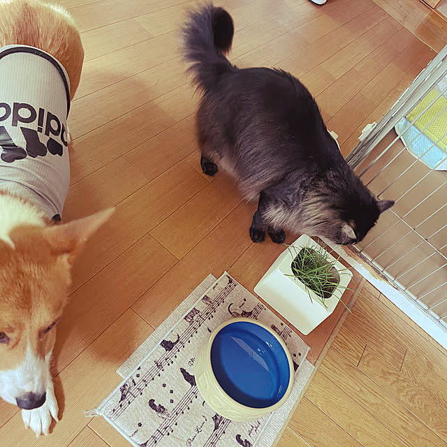 milkcreamさんの実例写真