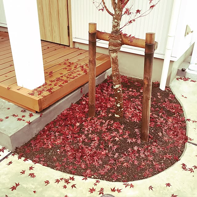 実例写真
