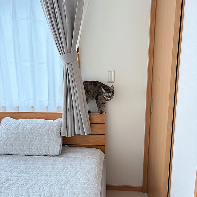 chinaさんの部屋