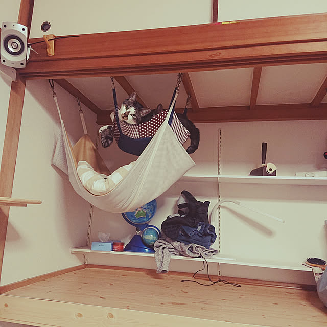 e-mailさんの実例写真