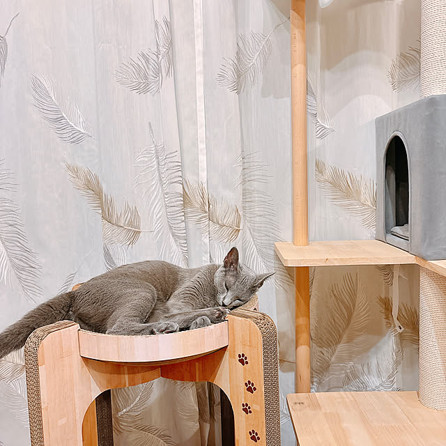 atelier_pono2022さんの部屋