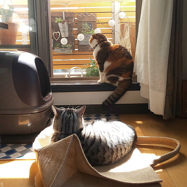 hiro3さんの実例写真