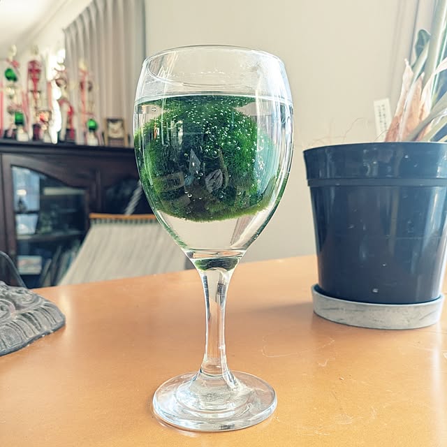 renrinmamaさんの実例写真