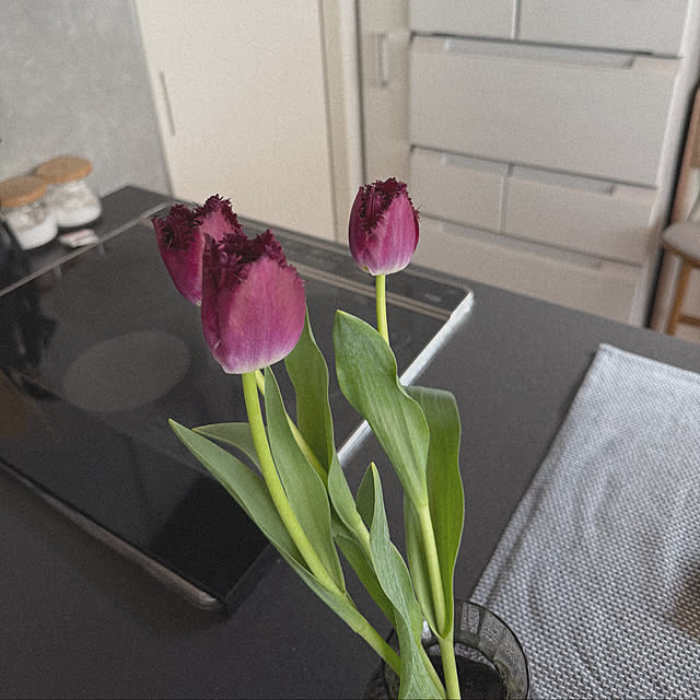 shior_i1108さんの実例写真