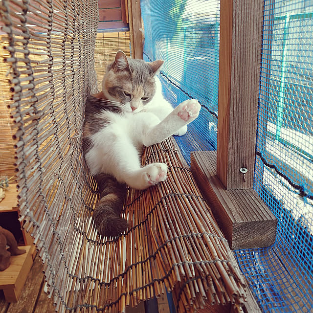fukuさんの実例写真