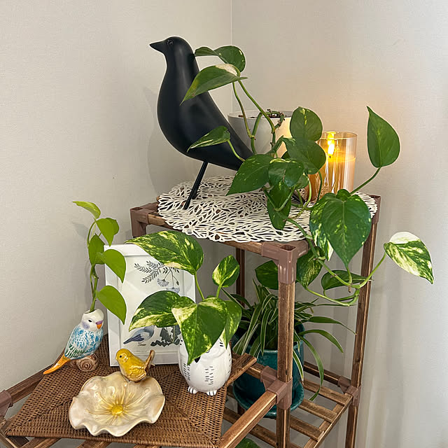 banbinaさんの実例写真