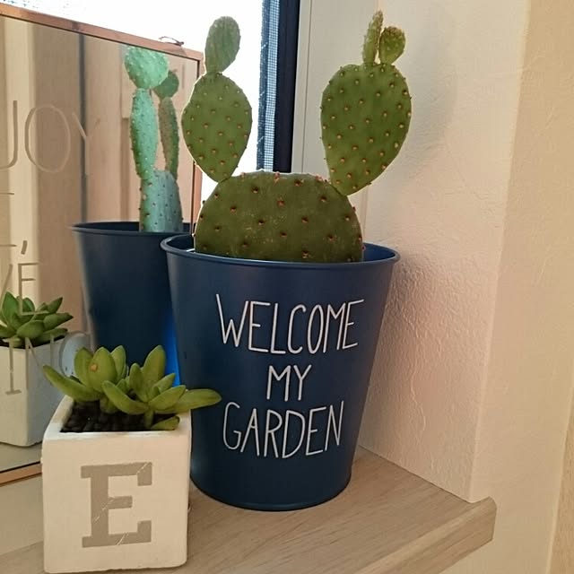 erinaさんの実例写真