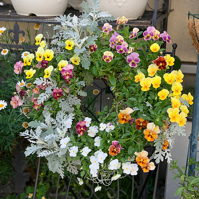 selina_yiyiさんの実例写真