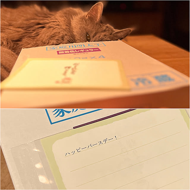 Kikko.さんの部屋