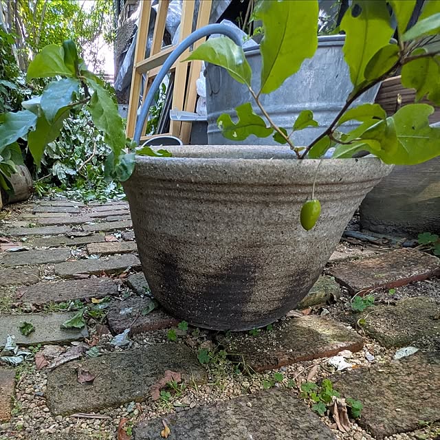 mori_6_12さんの部屋