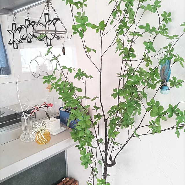 Maroさんの部屋