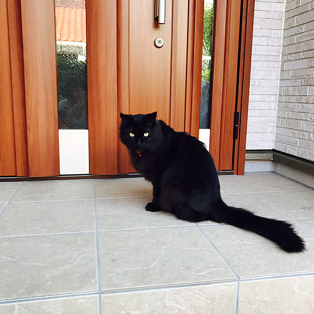 minamiさんの実例写真