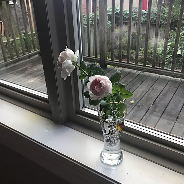 Mikiさんの実例写真