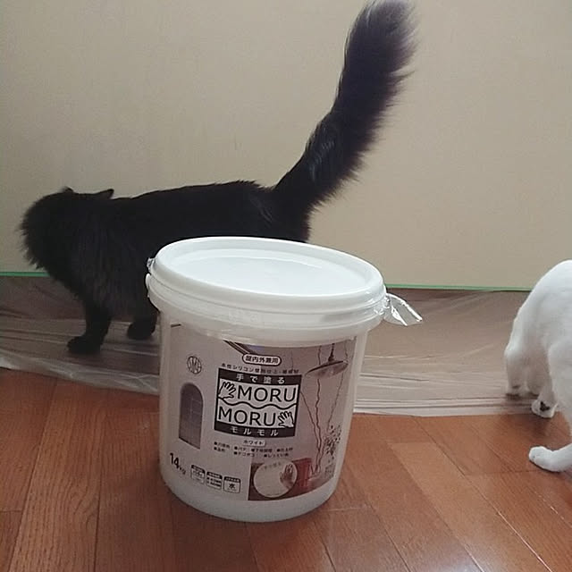kumiさんの実例写真