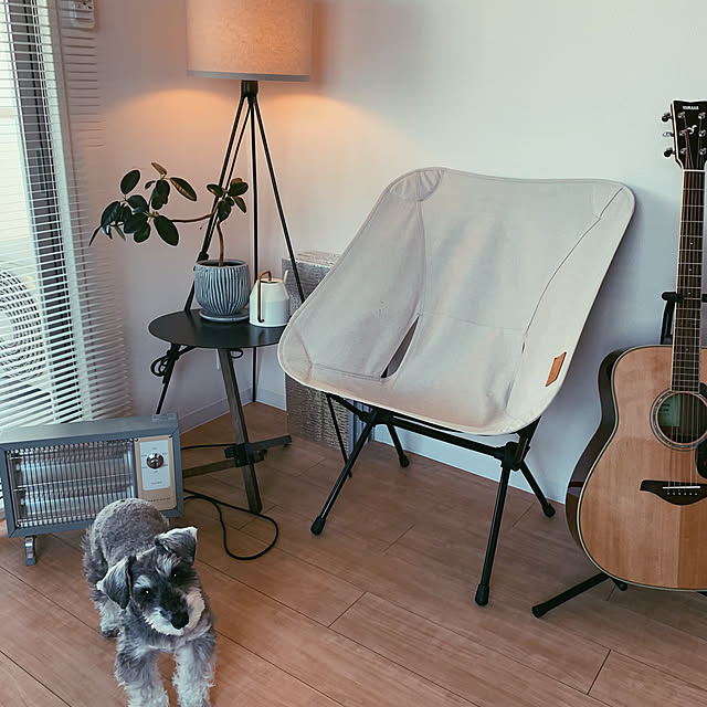 無印良品/IKEA/植物のある暮らし/観葉植物/犬のいる暮らし...などのインテリア実例 - 2023-03-05 17:06:02