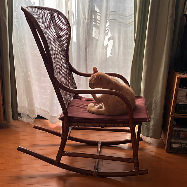 mikan161さんの実例写真