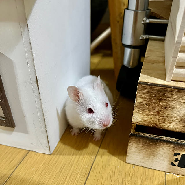 emiさんの部屋