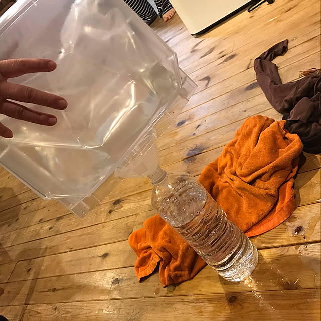 nobuさんの実例写真