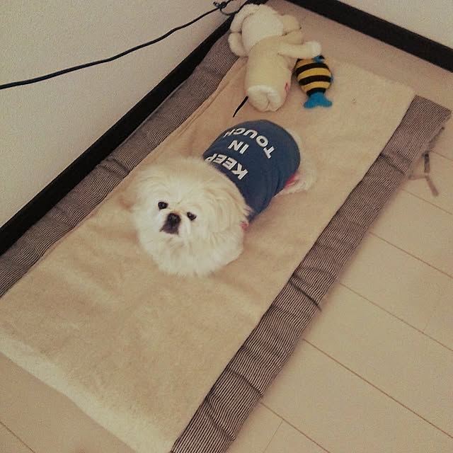 Rさんの実例写真