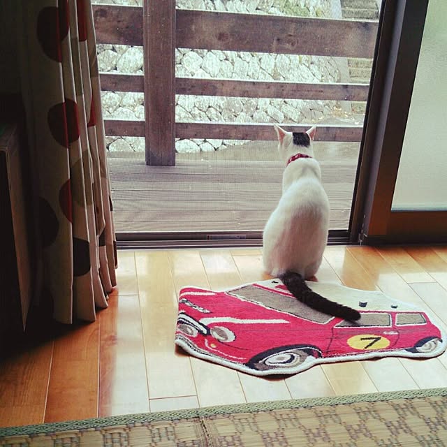 MIYAMIYAさんの実例写真