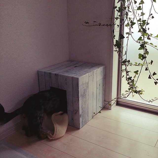GaudisHouseさんの実例写真