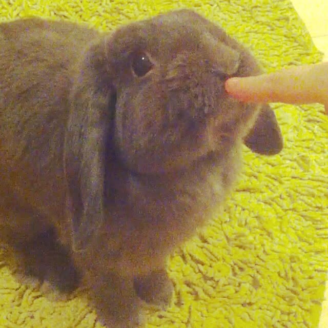 calminさんの実例写真
