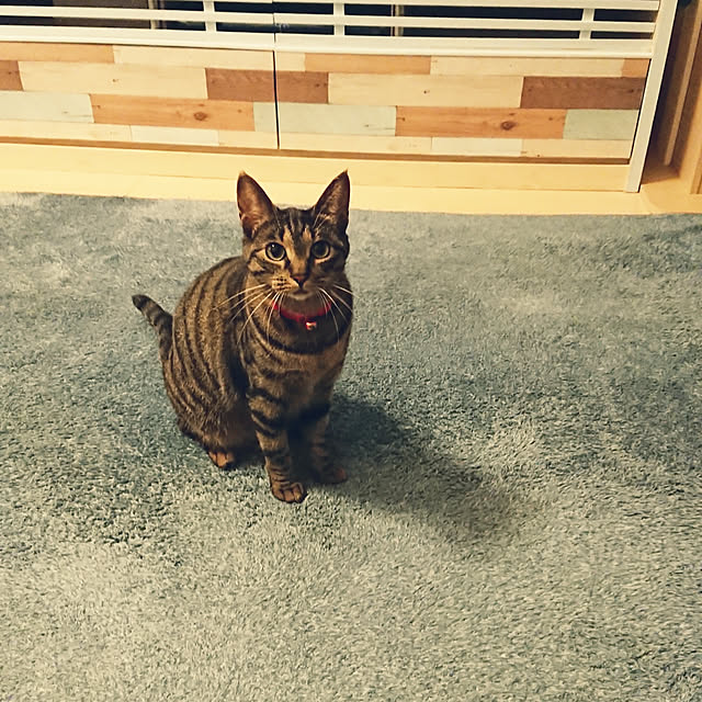 taka-kiさんの実例写真
