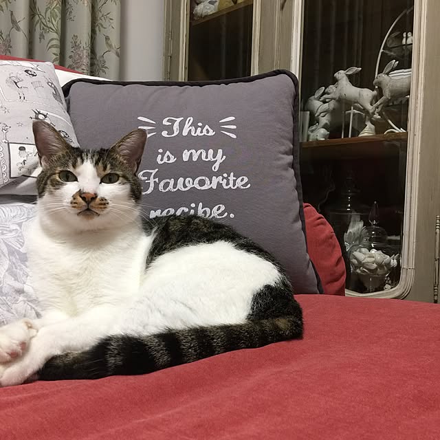 yuchiさんの実例写真