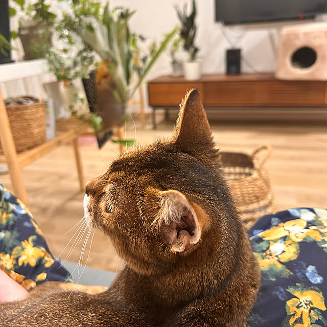lucianoさんの部屋