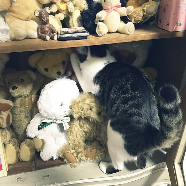 yuchiさんの実例写真