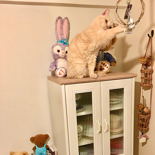 naokoさんの実例写真