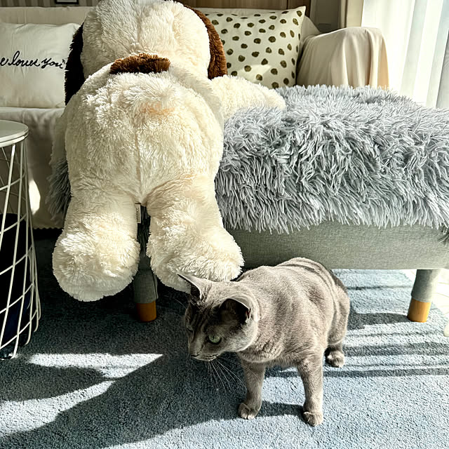 snoopyさんの部屋
