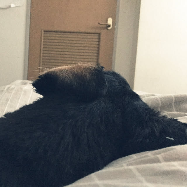 ohanaさんの実例写真