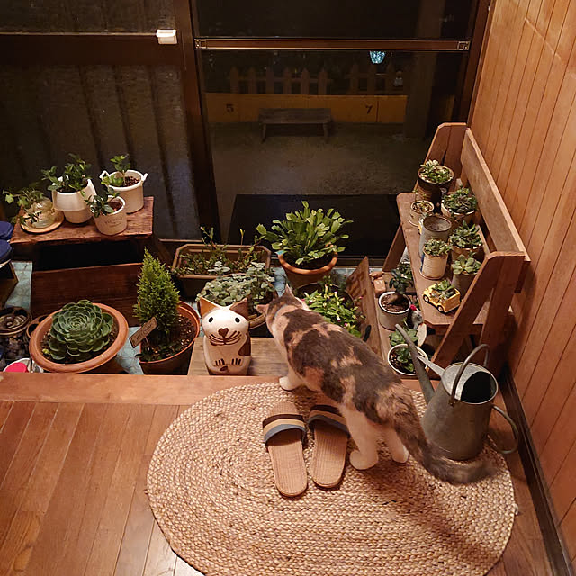 fukuさんの実例写真