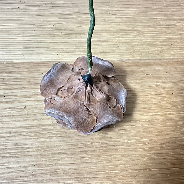 mizucchiさんの部屋