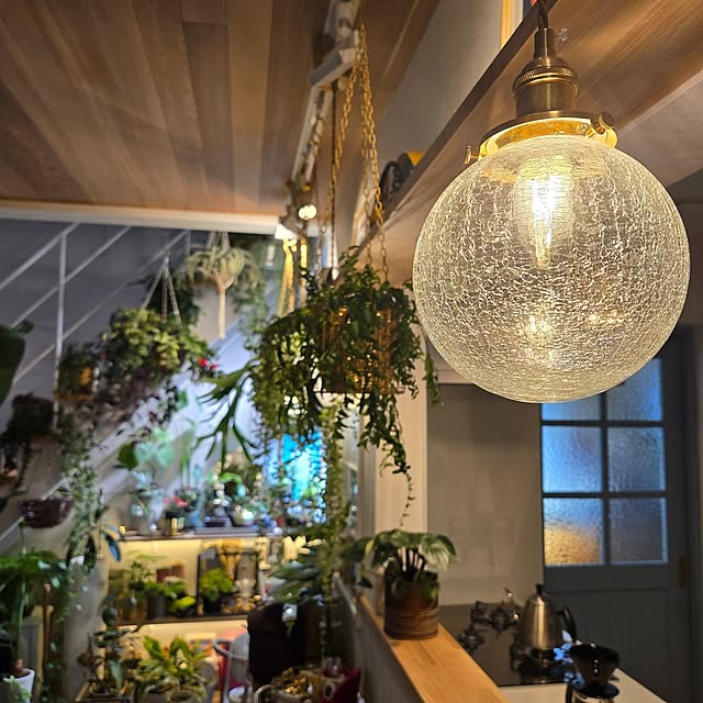 nonbiri_house_さんの部屋