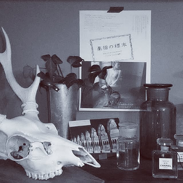 COBAINさんの実例写真