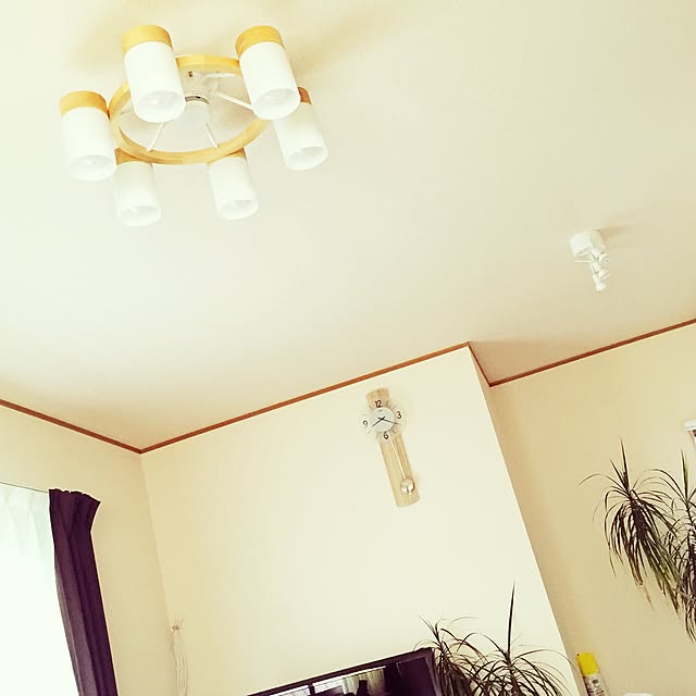 miumiu13さんの実例写真