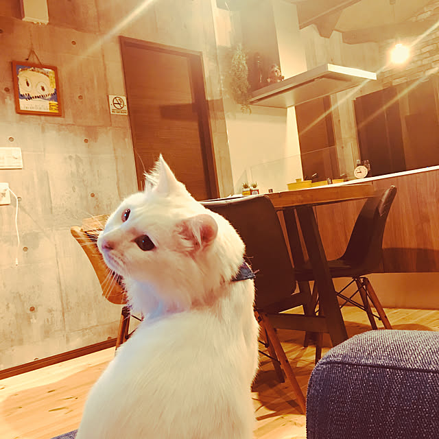 MASUMIさんの実例写真