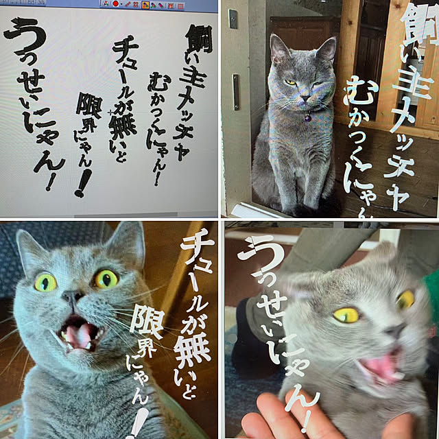 masaさんの実例写真