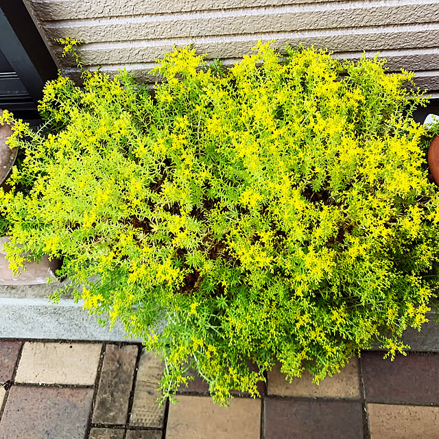 KYONさんの部屋