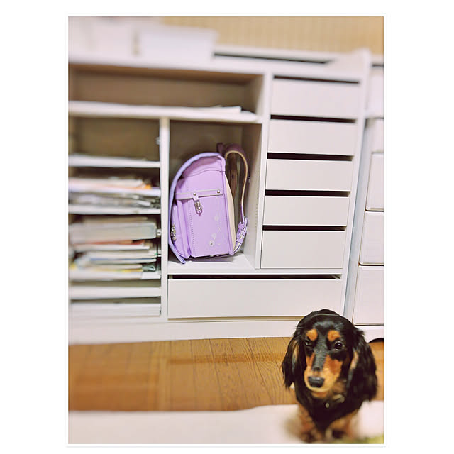 773さんの実例写真