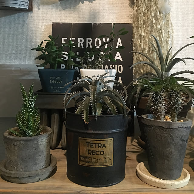 tetra163さんの実例写真