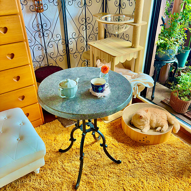 naokoさんの部屋