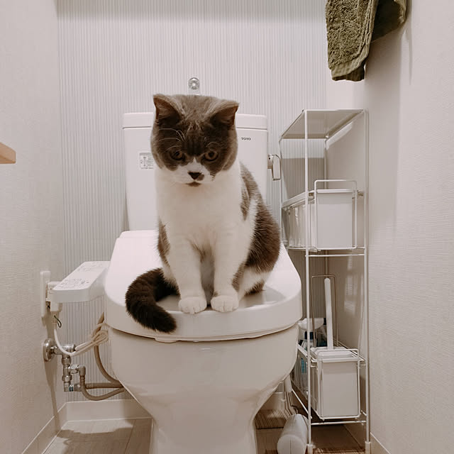 KEIKOさんの実例写真
